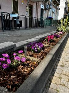 メッシーナにあるPoseidon- Seaviewの通りにあるピンクの花が咲いた花壇