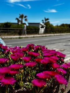 メッシーナにあるPoseidon- Seaviewの道路脇のピンクの花束