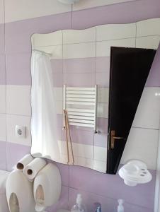 a bathroom with a mirror and rolls of toilet paper at Dalival in Baile Felix