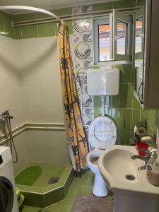 Koupelna v ubytování Apartmane Savic + 13 fotografií