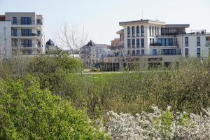 Zahrada ubytování Bungalow Alex