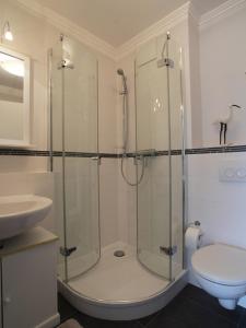 Un baño con ducha de cristal y un inodoro. en Strandlust, en Ostseebad Nienhagen