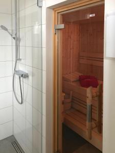 a shower in a bathroom with a sauna at FH Ankerplatz in Güstow +11 photos