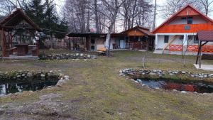 a yard with a house and a pond in front at La Pensiunea Pescaria lui Nelu in Ohaba-Sibişel