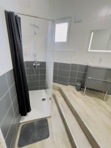a bathroom with a shower and a sink at Bascule Rive Droite - WiFi - 2 Guests in Le Mans