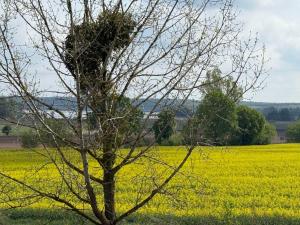 Gallery image of Apartament 5 in Kobylniki