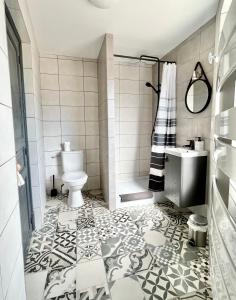 een badkamer met toilet, douche en wastafel bij La Maison de J. in Chaumont +5 foto's