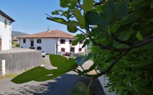 a tree with green leaves in front of a house at Ithurbidia in Caro
