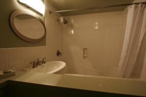uma casa de banho com uma banheira, um lavatório e um espelho. em Wildwood Farm Bed & Breakfast em Oak Harbor