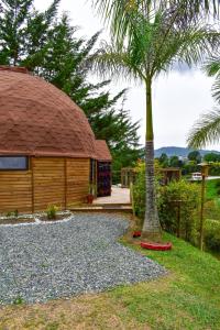 a house with a palm tree next to a building at betsaida in Chiquinquirá