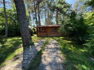 ベルリンにあるFerienhaus Waldblickの木立のある庭の中にある小さな小屋 +3枚の写真