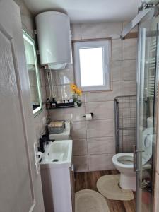 un bagno con lavandino e WC di Planinska kuća Rabas a Bajina Bašta Altre 17 foto