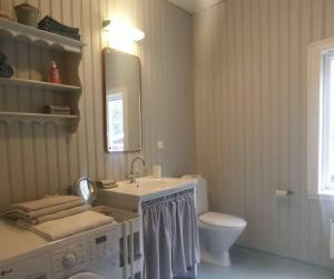 a bathroom with a sink and a toilet and a mirror at Torsholma Skolhus in Hallaryd +62 photos