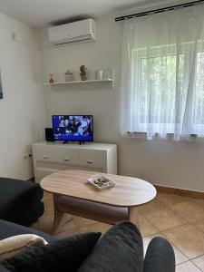 TV a/nebo společenská místnost v ubytování Apartment Zlatko