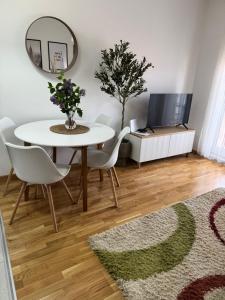 TV a/nebo společenská místnost v ubytování Apartman Pazova