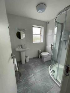 a bathroom with a toilet and a sink and a shower at 6 New Street Bantry Selfcatering BnB Apartment 1 in Bantry