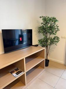 a television on a wooden stand with a potted plant at Cala Paula in Lloret de Mar