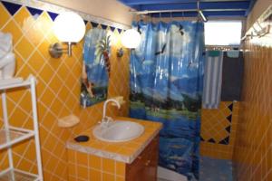 a bathroom with a sink and a shower at Sun Caraibes in Orient Bay