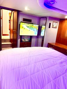 a bedroom with a large bed and a tv at Keys Livin - Yacht Rental in Key West