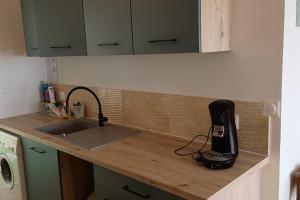 a kitchen counter with a sink and a blender on it at Apartment with terraces in Rayol-Canadel-sur-Mer in Rayol-Canadel-sur-Mer