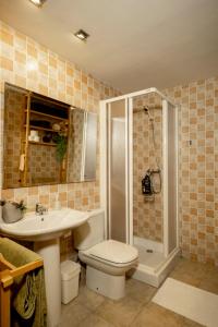 une salle de bain avec une douche, des toilettes et un lavabo dans l'établissement Inmocyma Antigua Casa Chuanina, bajo-Benasque, à Benasque