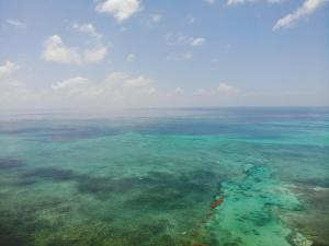 an aerial view of the water in the ocean at Royal Caribbean Resort in San Pedro