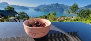 埃梅滕贝拉洛萨酒店的一碗樱桃放在桌子上，可以欣赏美景