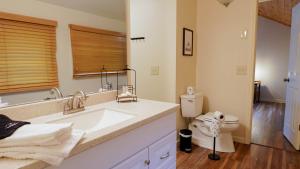 un bagno con lavandino e WC di Lookout Lodge - Hot tub, Views, Xbox, Bar a Beech Mountain Altre 17 foto