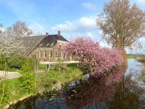 a large brick building next to a river with a flowering tree at Ark van Thesinge in Thesinge