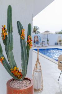 Imagen de la galería de Villa Chaineze Fadhloun Djerba, en Houmt El Souk 13 fotos más