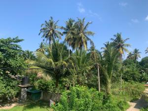 Κήπος έξω από το Menuks villa +29 φωτογραφίες