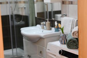 un bagno con lavandino e doccia di Apartment Natasa a Vinišće