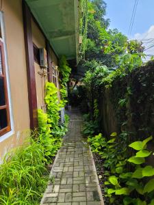 DemanganGaruda Syariah Homestay By Reccoma的植物繁多的建筑物旁边的一条狭窄小巷