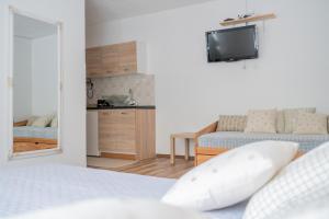 TV a/nebo společenská místnost v ubytování Apartma Roner + 23 fotografií