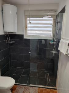 a bathroom with a shower with a toilet and a window at Apartman MS in Bosanska Dubica +8 photos