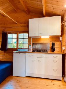 Η κουζίνα ή μικρή κουζίνα στο Chalet 3 étoiles - Piscine - ccbafie