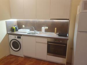 una cocina con fregadero y lavadora en Apartment Sunny, en Pamporovo