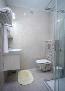 a bathroom with a toilet and a sink and a shower at Apartmani Mira in Drasnice +42 photos
