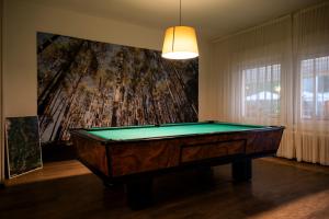 Biliár nebo kulečník v ubytování Hotel Scoiattolo