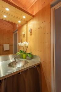 Φωτογραφία από το άλμπουμ του Chalet 3 étoiles - Piscine - ccbbbdd σε Levier