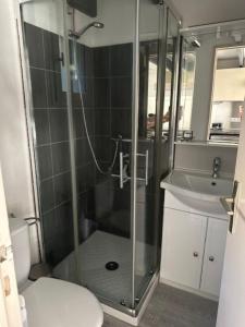 a bathroom with a shower and a toilet and a sink at Mazet du soleil in Saint-Martin-de-Brômes