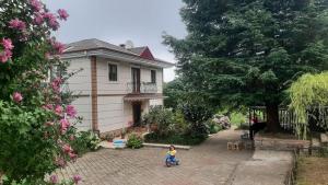 Zahrada ubytování Suleyman's Mansion
