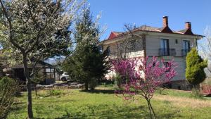 Zahrada ubytování Suleyman's Mansion