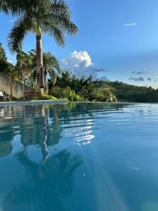 a swimming pool with a palm tree and blue water at Casa Pe na Agua Represa Igarata Piscina Climatizada in Igaratá