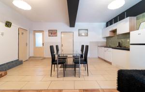 Kuchyňa alebo kuchynka v ubytovaní Cozy Apartment In Benkovac With Wifi