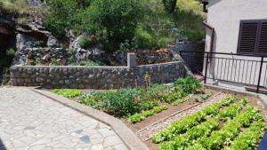 Zahrada ubytování Croatia Apartman Masa