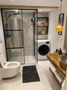 a bathroom with a shower and a toilet and a sink at Mountain Chalet - Cabana la Muntele Baisorii in Muntele Cacovei +26 photos