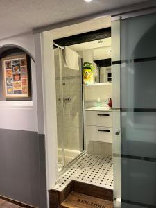 a bathroom with a walk in shower and a walk in shower at Ferienwohnung 36, die etwas Andere in Quedlinburg