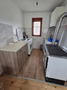 Kuchyň nebo kuchyňský kout v ubytování Bridge View Tara -House Lekovic