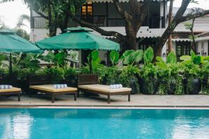The Project Cafe and Hotel内部或周边的泳池